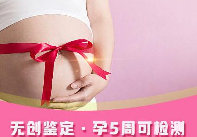 在[甘肃]怀孕期间需要怎么办理亲子鉴定,甘肃孕期亲子鉴定多少钱