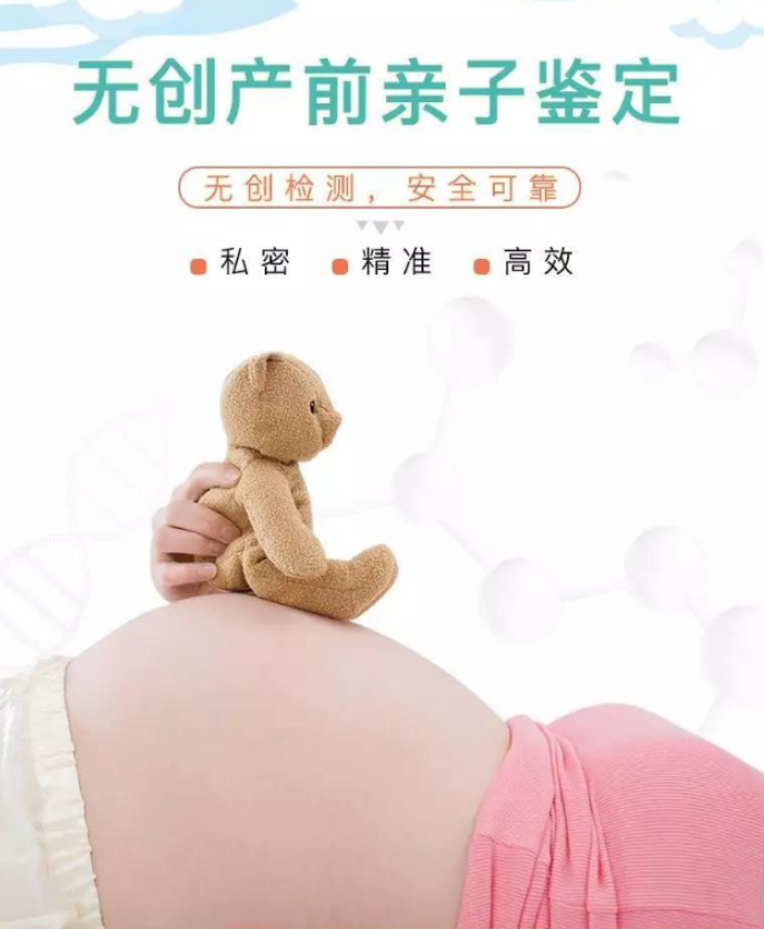 甘肃怀孕39天能办理孕期亲子鉴定吗,甘肃做无创产前亲子鉴定多少费用