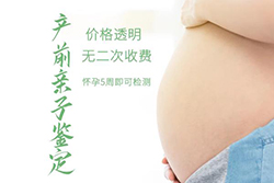 甘肃怀孕要如何办理亲子鉴定，甘肃胎儿亲子鉴定办理方法